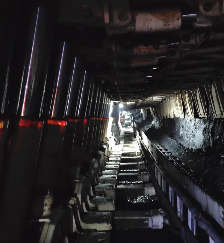 1616494385147697.jpg 3.jpg