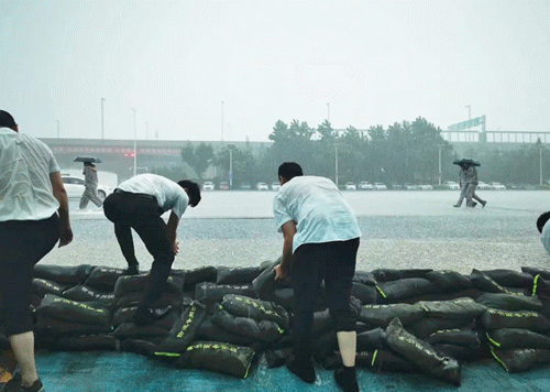 1642502238610854.gif 10.gif